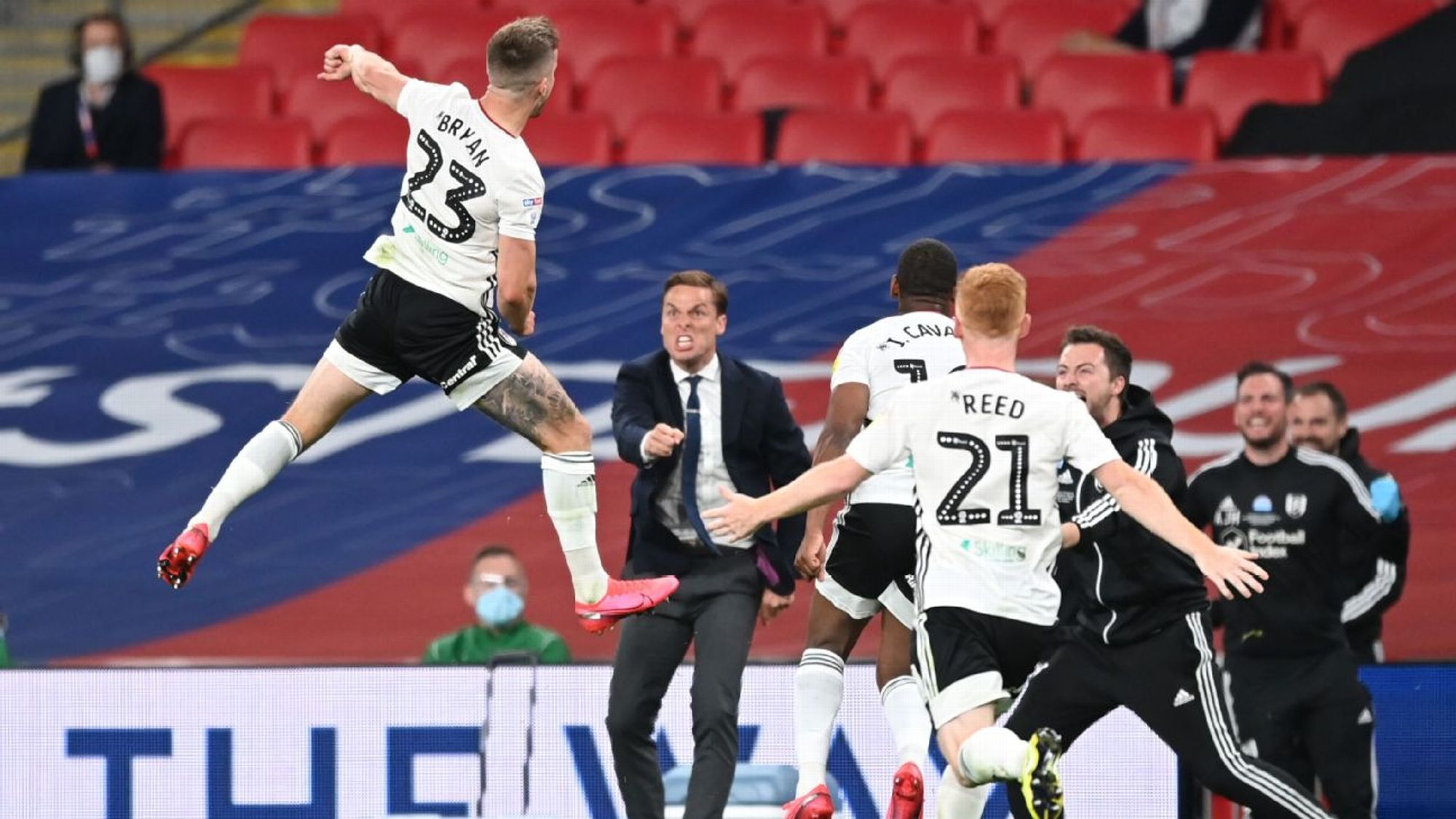 了鲜明对比 了鲜明对比